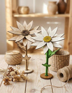 Daisy