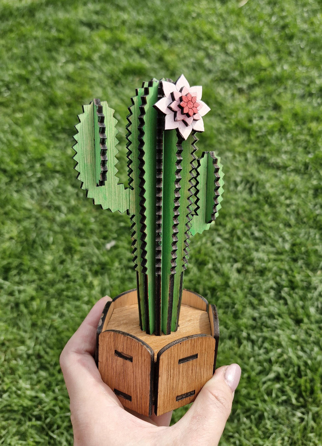 Cactus