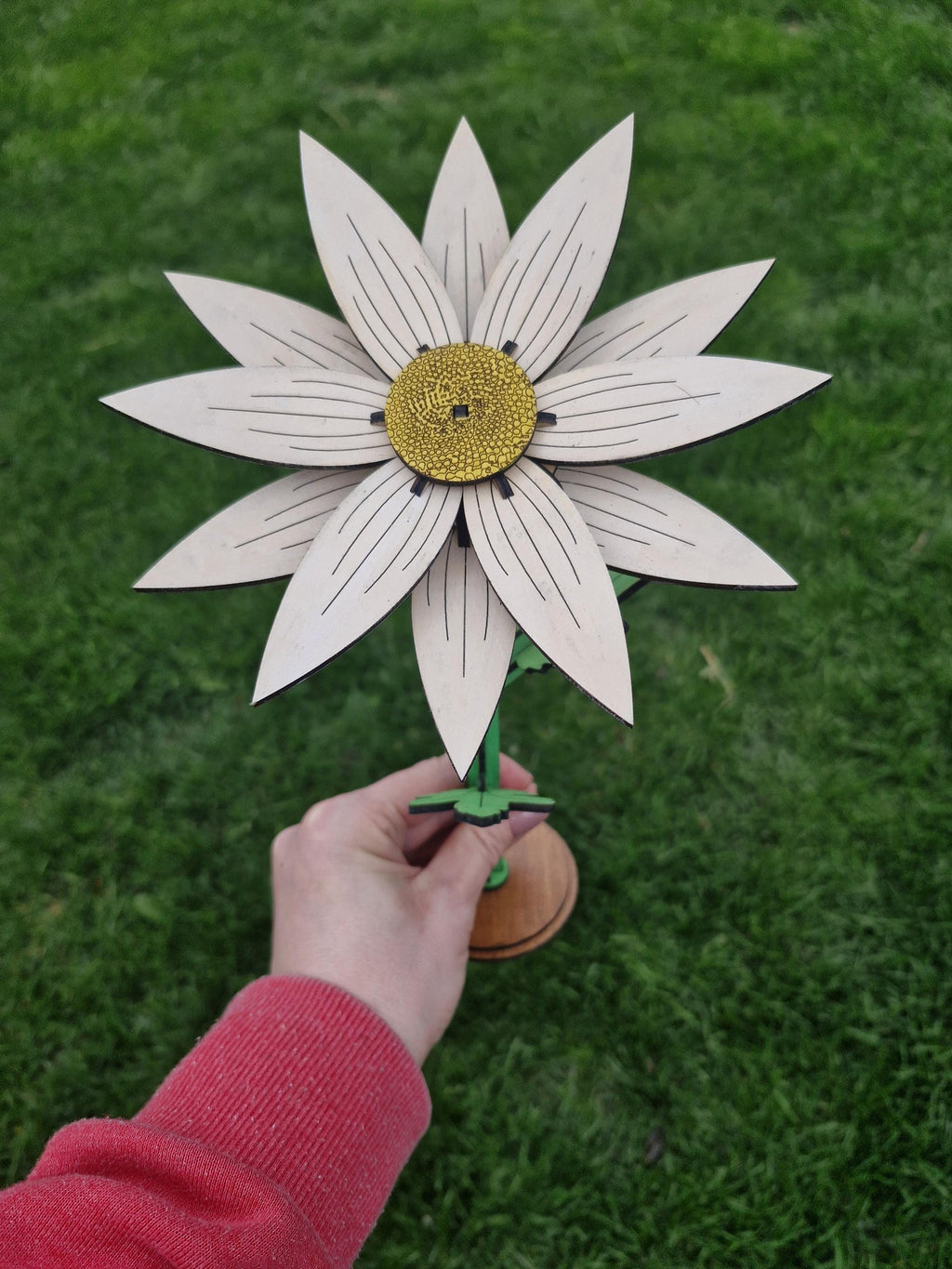 Daisy