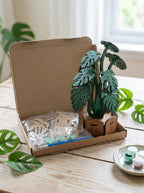 Monstera