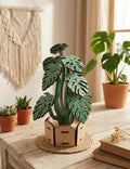 Monstera