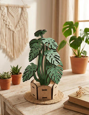 Monstera